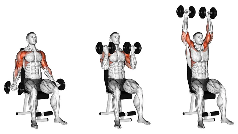 best dumbell excerices