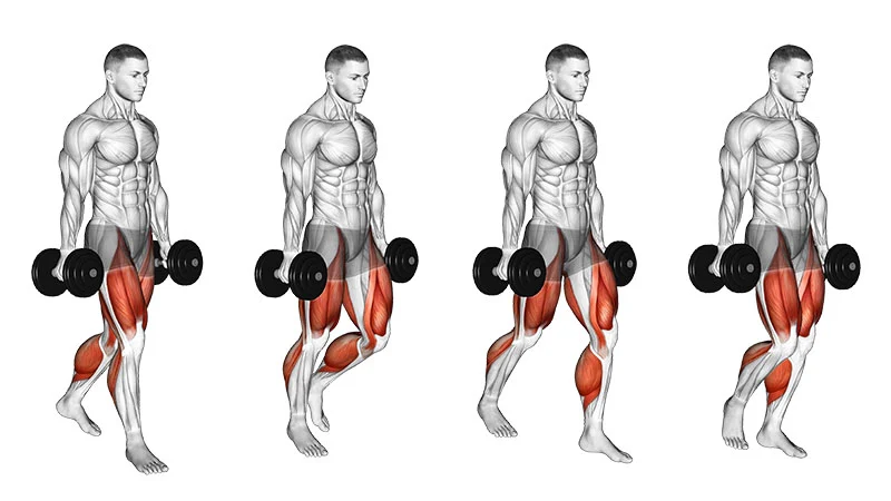 best forearm workouts exercises