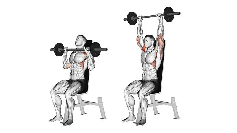Seated Overhead Barbell Press