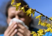 allergies from pollen
