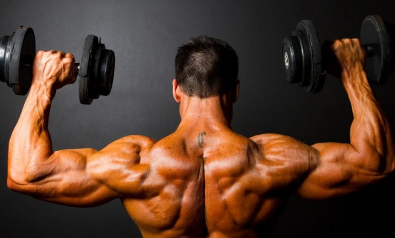 bodybuilding shoulder workout