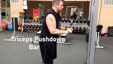 triceps pushdown bar