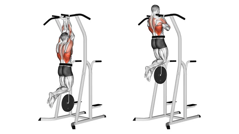 Weighted Chin Ups