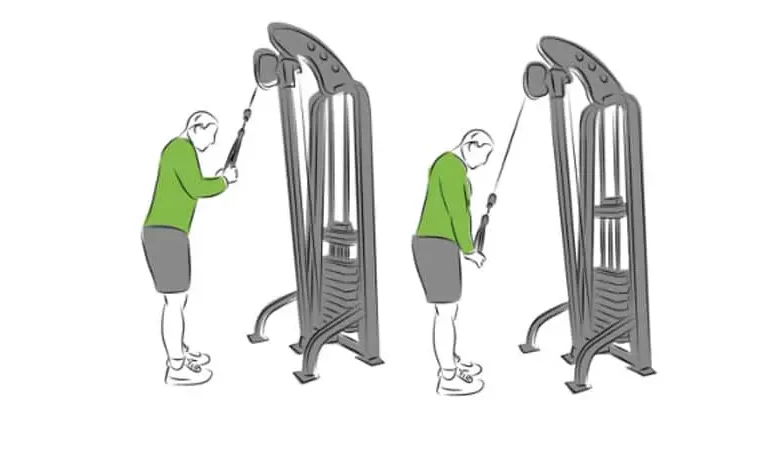 triceps cable workout