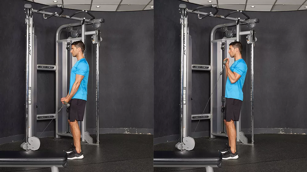 cable machine exercises