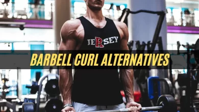 barbell curl alternatives