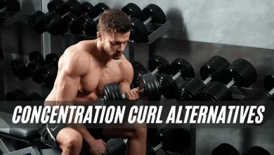 concentration curl alternatives