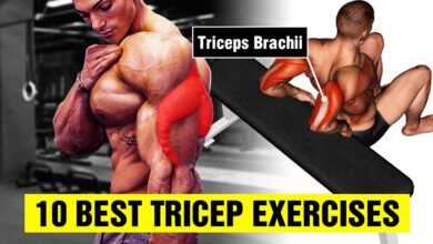 10 Best Tricep Exercises for Bigger Arms Gym Body