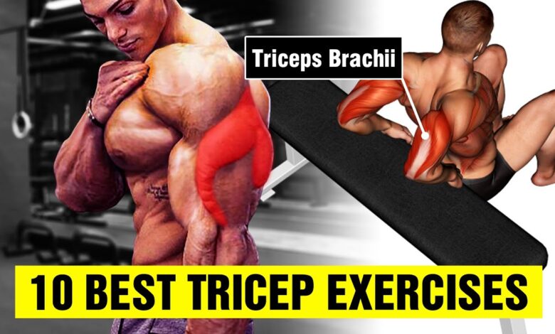 10 Best Tricep Exercises for Bigger Arms Gym Body