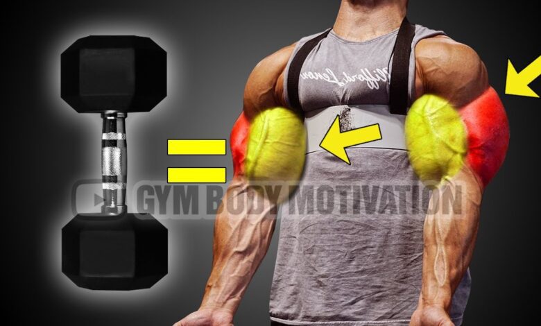 10 Dumbbell Exercises for Bigger Arms Gym Body Motivation