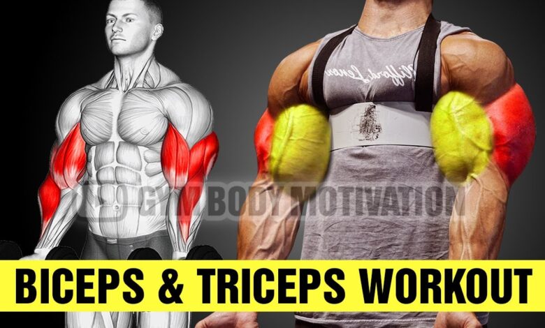 13 Best Exercises for Bigger Arms Biceps and Triceps