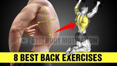 8 Best Back Exercises Force Muscle Growth