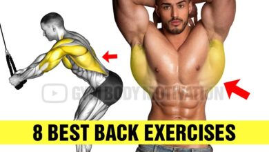 8 Best Exercises To Build A Big Back Gym