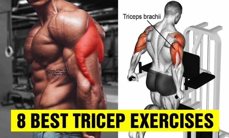 8 Best Tricep Exercises for Bigger Arms Gym Body
