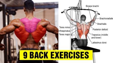 9 Exercises To Build A Big Back Gym Body
