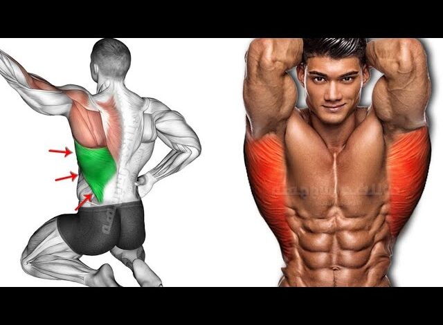 Complete Biceps and Triceps Workout For Bigger Arms triceps workout