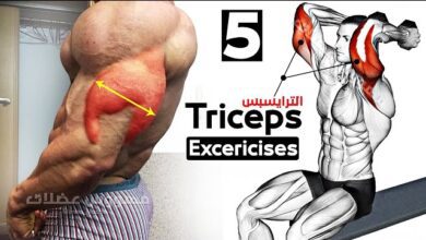 How To Build Your Triceps workout Fast 5 Effective Exercises triceps workout