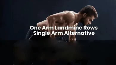 One Arm Landmine Rows Single Arm