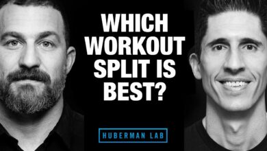 Which Workout Split is Best ft Huberman Lab Podcast