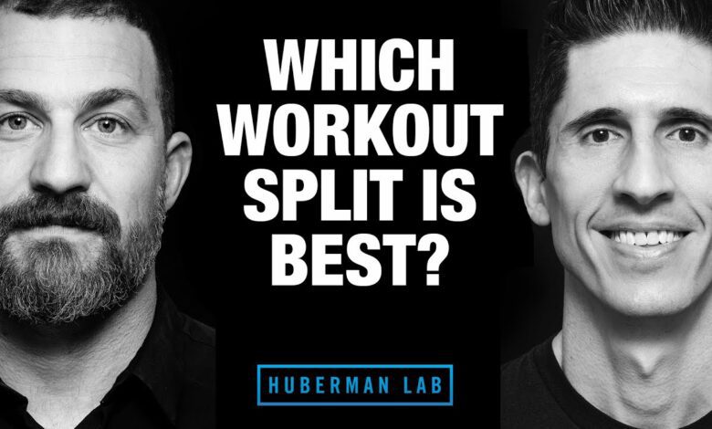 Which Workout Split is Best ft Huberman Lab Podcast