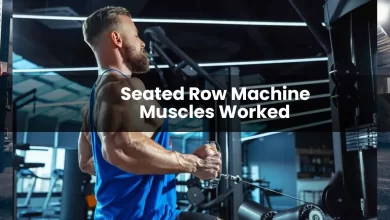 seated row machine muscles worked