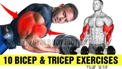 10 Best Exercises for Bigger Arms Biceps and Triceps