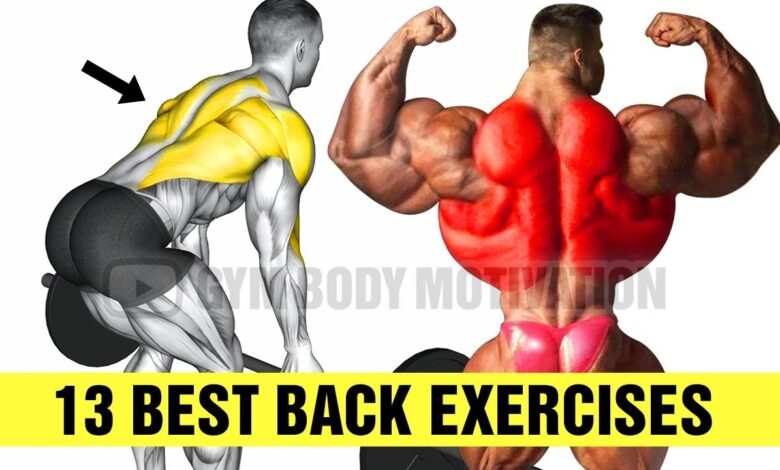 13 Exercises To Build A Big Back Gym Body