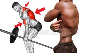1666399062 Workout for Massive Back Traps and Biceps