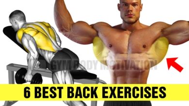 1666953312 6 Exercises To Build A Big Back Gym Body