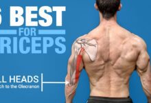 6 BEST Triceps Exercises ANATOMY BASED