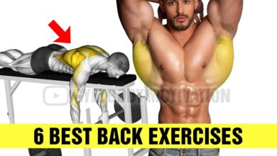 6 Fastest Effective Big Back Exercises Gym Body Motivation