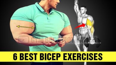 6 Most Effective Bicep Exercises Gym Body Motivation