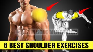 6 Super Effective Shoulders Exercises Force Muscle Growth