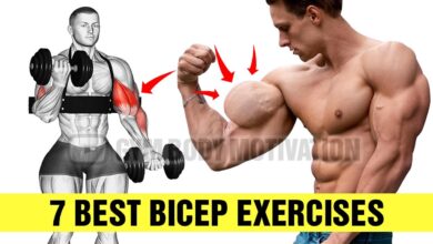 7 Effective Bicep Exercises for Bigger Arms Gym Body