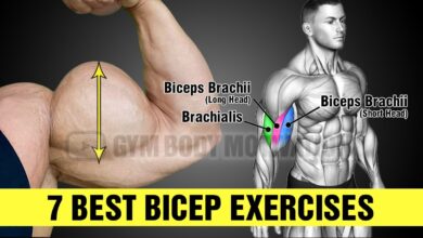 7 Most Effective Bicep Exercises Long Head and Short Head