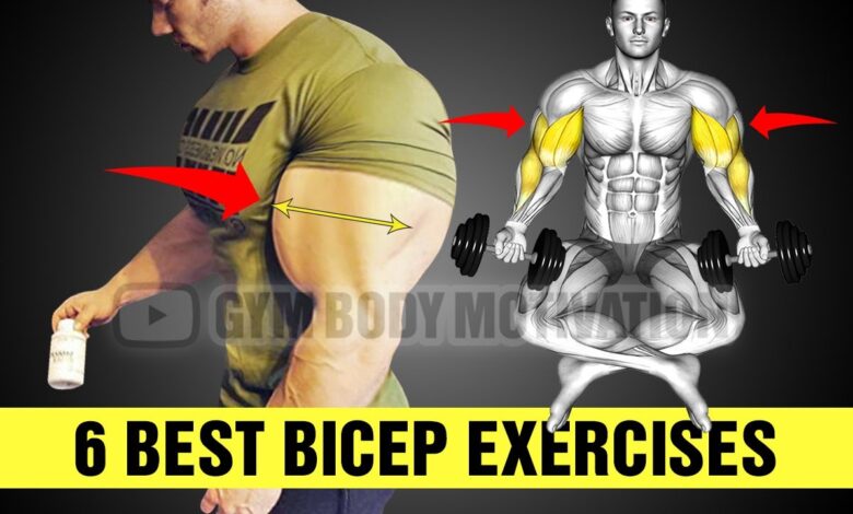 7 Most Effective Bicep Exercises for Bigger Arms