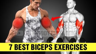 7 Perfect Biceps Exercises For Bigger Arms Gym Body
