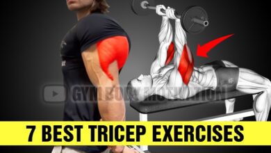 7 Perfect Triceps Exercises For Mass Gym Body Motivation