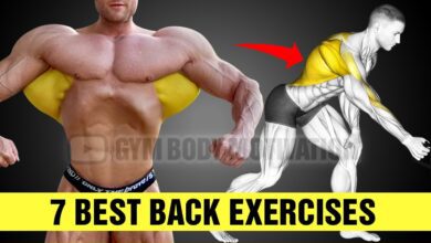 7 Super Effective Exercises To Build A Bigger Back