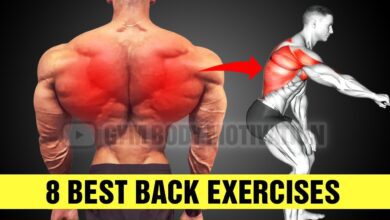 8 Best Back Exercises You Need for Mass