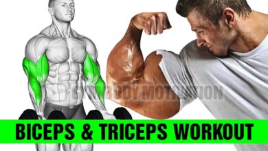 8 Best Exercises for Bigger Arms Biceps and Triceps