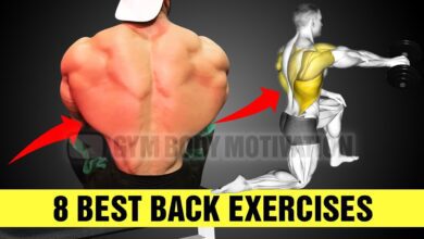8 Super Effective Back Exercises At Gym Gym Body