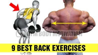 9 Exercises To Build A Big Back Gym Body