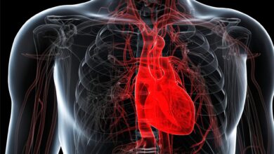An Unlikely Source Provides New Hope for Heart Disease Patients