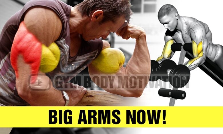 Bigger Arms Workout Dumbbells Only