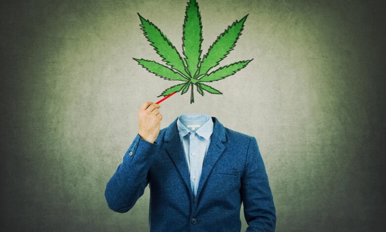 Does Marijuana Make You Lazy Scientists Find That Cannabis Users
