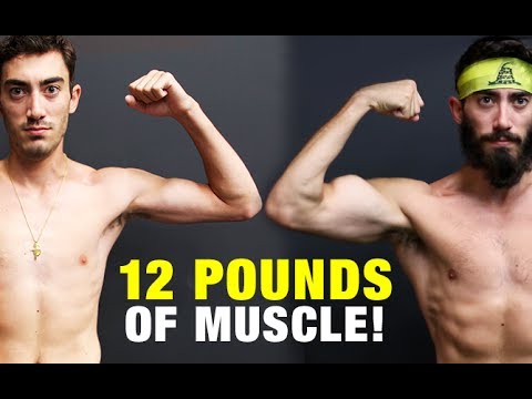 Muscle Building Body Transformation GAINED 12 LBS