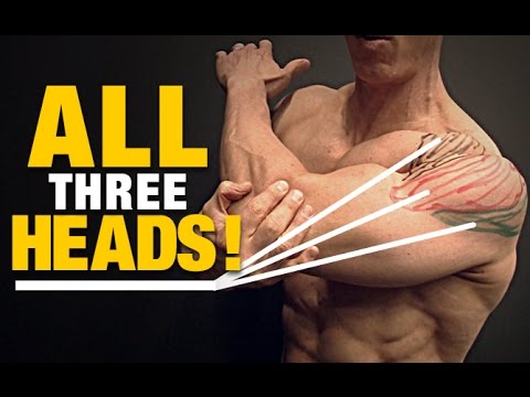Shoulder Stretches for Your Delts ALL 3 HEADS