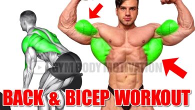 The PERFECT BACK and BICEPS WORKOUT