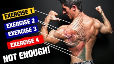 The PERFECT Back Workout Sets and Reps Included